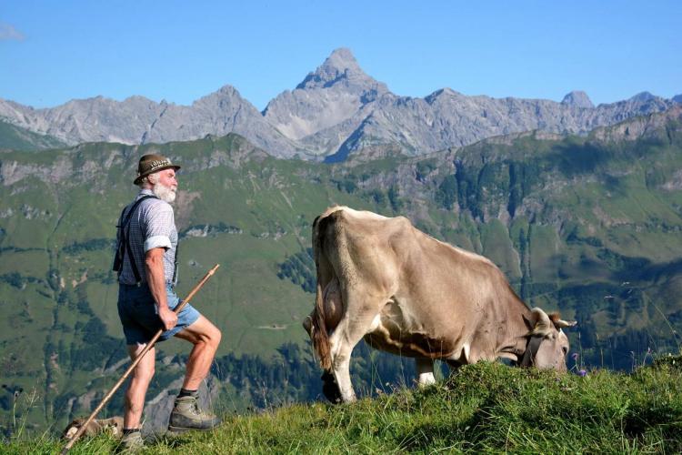 Alpwirtschaft Bad Hindelang - Denkinger PR