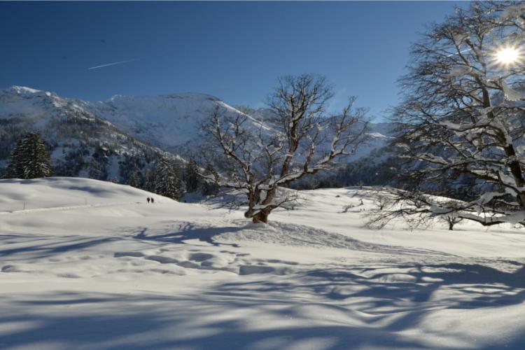 Denkinger PR - Bergsteiger-Hotel „Grüner Hut“ setzt auf Gruppenreisen