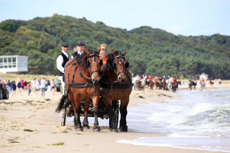 Denkinger PR - Kleinod an der Ostsee: Baabe ist Rettungsinsel für Allergiker