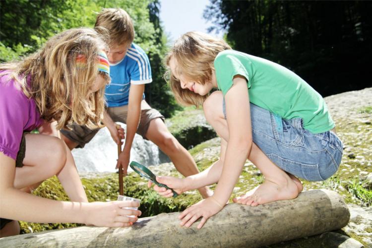 Denkinger PR - „Westallgäuer Wasserwege“ zeigen kleine Naturwunder am Wegesrand