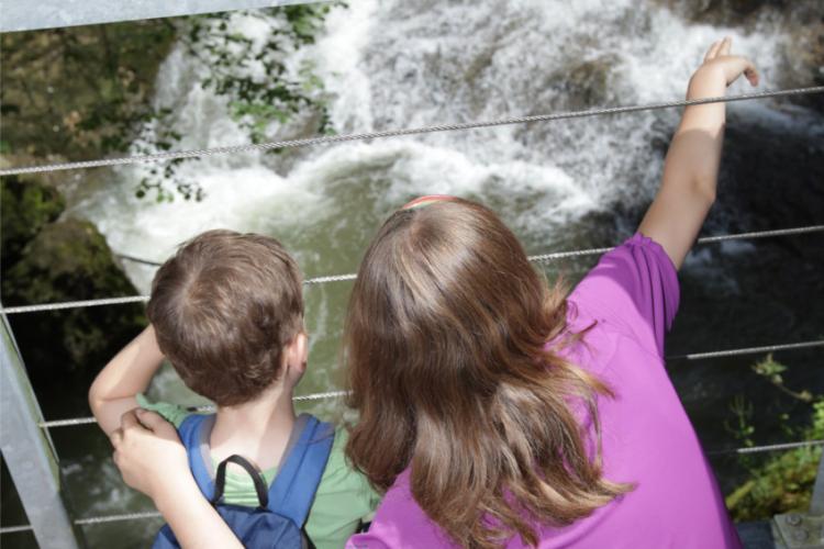 Denkinger PR - „Westallgäuer Wasserwege“ zeigen kleine Naturwunder am Wegesrand