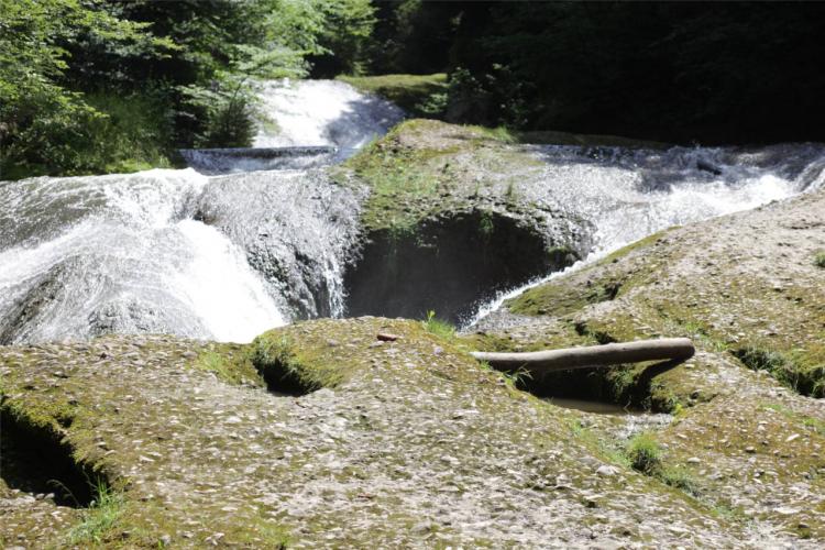 Denkinger PR - „Westallgäuer Wasserwege“ zeigen kleine Naturwunder am Wegesrand