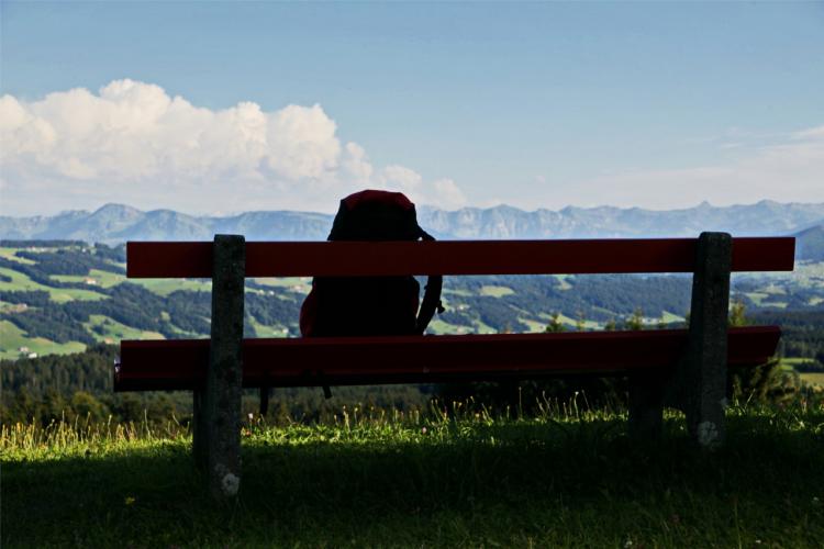 Denkinger PR - „Westallgäuer Wasserwege“ zeigen kleine Naturwunder am Wegesrand