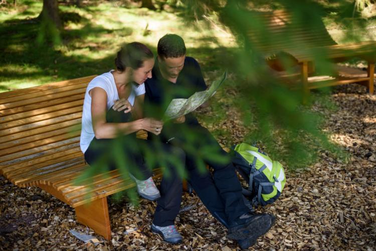 Denkinger PR - Heilklima-Steig stärkt Gesundheitskompetenz im Ferienland Schwarzwald