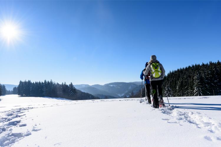 Denkinger PR - Ferienland Schwarzwald setzt auf Familien, Aktivurlauber, Naturliebhaber und Kulinariker