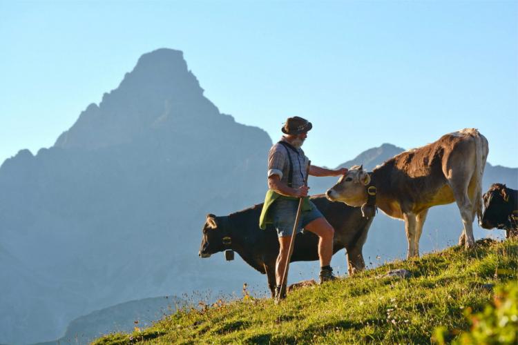 Denkinger PR - „Hindelanger Alpzit“: Dank und Ehre für Älpler und Bergbauern 