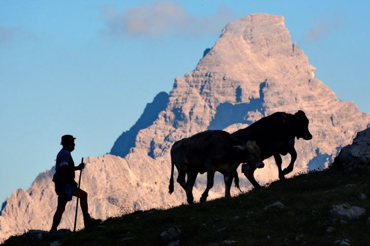 Denkinger PR - „Hindelanger Alpzit“: Dank und Ehre für Älpler und Bergbauern 