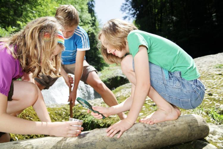 „Westallgäuer Wasserwege“ erfrischen, lehren und inspirieren