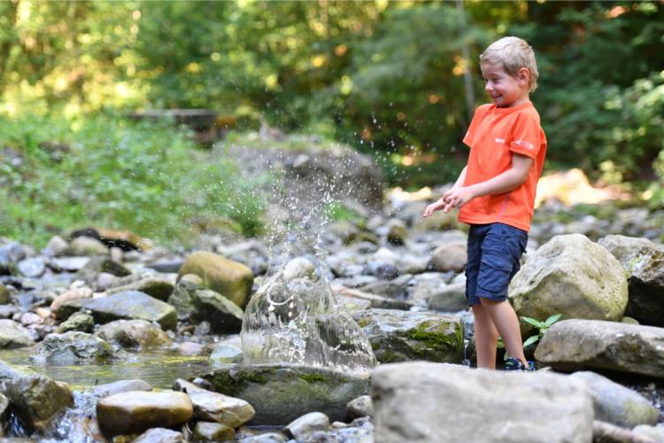 „Westallgäuer Wasserwege“ erfrischen, lehren und inspirieren