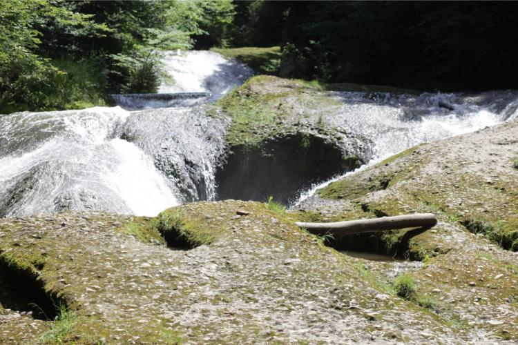 „Westallgäuer Wasserwege“ erfrischen, lehren und inspirieren