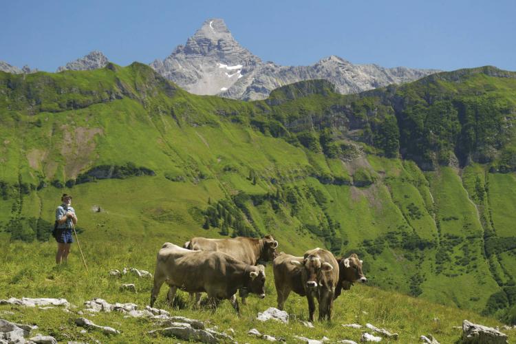 Denkinger PR - Neues Buch porträtiert alle 46 Bad Hindelanger Alpen