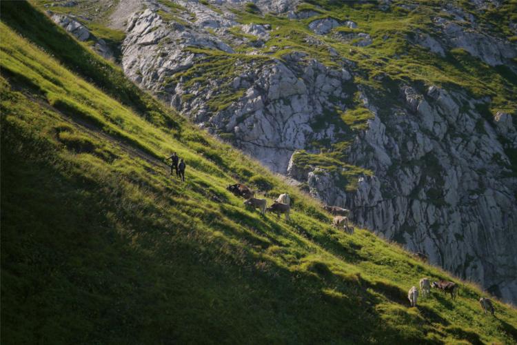 Denkinger PR - Neues Buch porträtiert alle 46 Bad Hindelanger Alpen