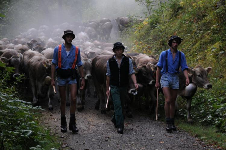 Für die Gemeinde Bad Hindelang ist der Alpabtrieb zugleich Tradition und Touristenattraktion - dieses Jahr findet der Hindelanger Viehscheid bereits zum 225. Mal statt