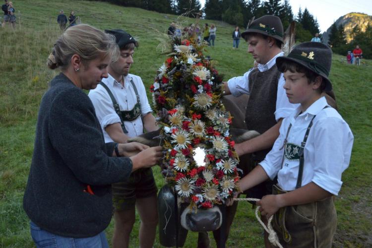 Für die Gemeinde Bad Hindelang ist der Alpabtrieb zugleich Tradition und Touristenattraktion - dieses Jahr findet der Hindelanger Viehscheid bereits zum 225. Mal statt