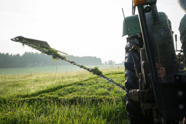 Denkinger PR - Altbewährte Mähtechnik für mehr Natur- und Artenschutz 