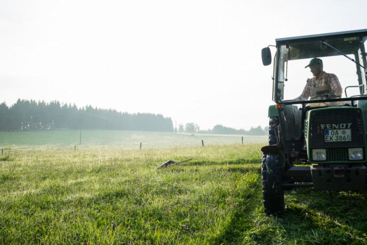 Denkinger PR - Altbewährte Mähtechnik für mehr Natur- und Artenschutz