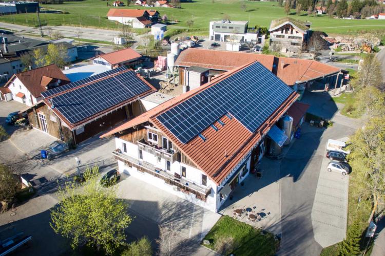 Denkinger PR - Wiggensbacher „Solarkäse“ schmeckt und schont die Umwelt