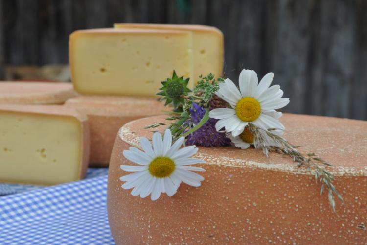 Denkinger PR - Bio-Bergkäse und Violinen-Klänge bei „Ein Ort wird Musik“ 