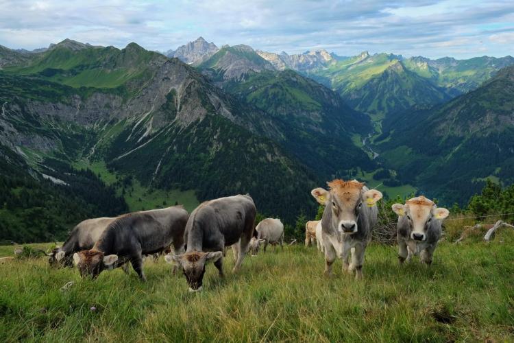 Denkinger PR - Alpenforscher Prof. Dr. Bätzing stellt in Bad Hindelang neues Buch vor