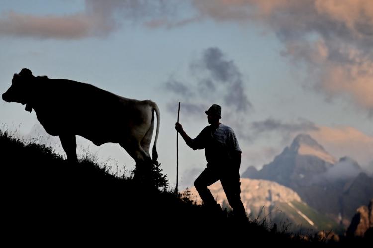 Denkinger PR - Alpenforscher Prof. Dr. Bätzing stellt in Bad Hindelang neues Buch vor