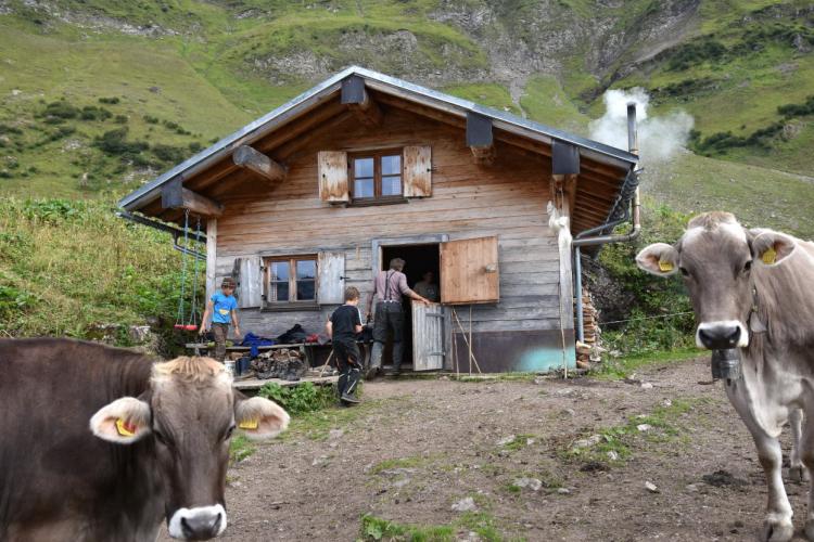 Denkinger PR - Die Alpenbibliographie des „Alpenpapstes“