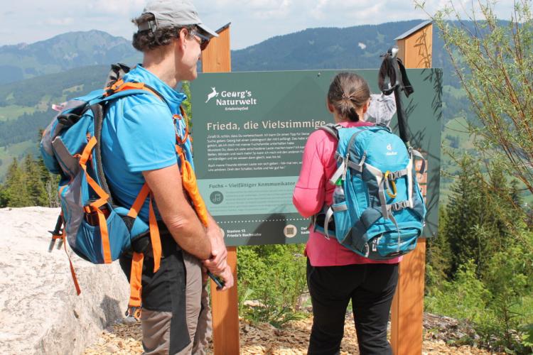 Denkinger PR - Hornbahn bringt Wanderer in Bad Hindelanger Naturwelt