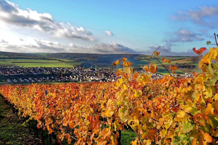 Denkinger PR - Historisch und wilde Herbstwochen in Bad Mergentheim