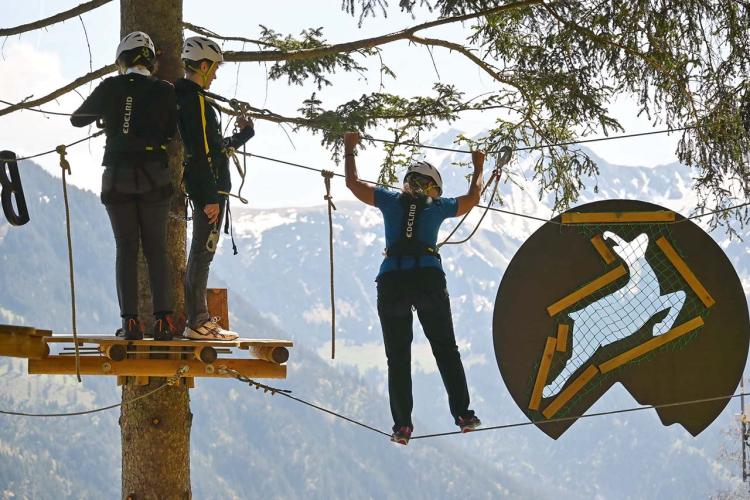 Denkinger PR - Waldseilgarten Bad Hindelang bereichert naturnahen Tourismus