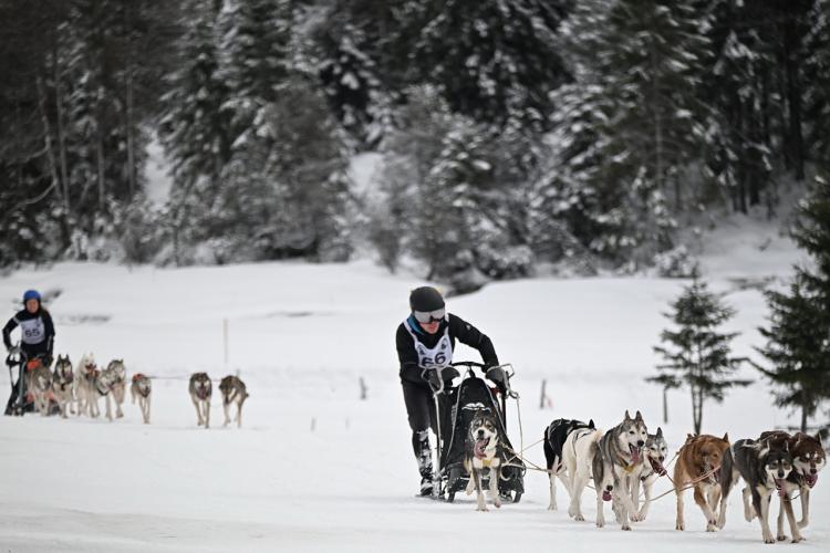 Denkinger PR - 4.000 Besucher bei Schlittenhunde-Weltcup in Unterjoch