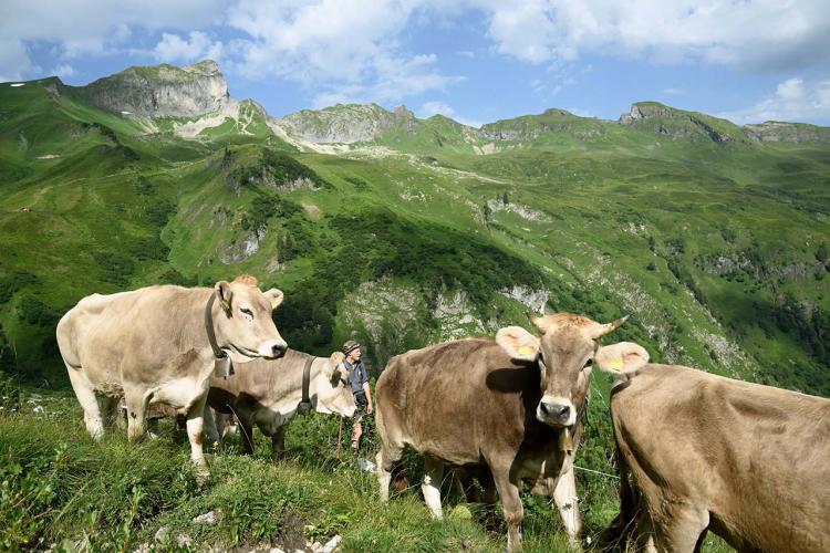 Denkinger PR - Die Gemeinde Bad Hindelang in den Allgäuer Hochalpen ist für den internationalen Wettbewerb „Best Tourism Villages by UN Tourism“ nominiert worden. 