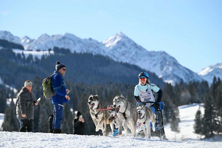 Denkinger PR - Perfekte Bedingungen beim Schlittenhunde-Weltcup