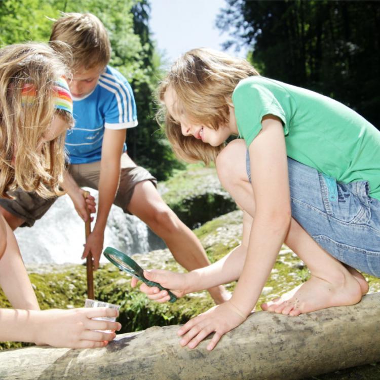 Denkinger PR - „Westallgäuer Wasserwege“ zeigen kleine Naturwunder am Wegesrand