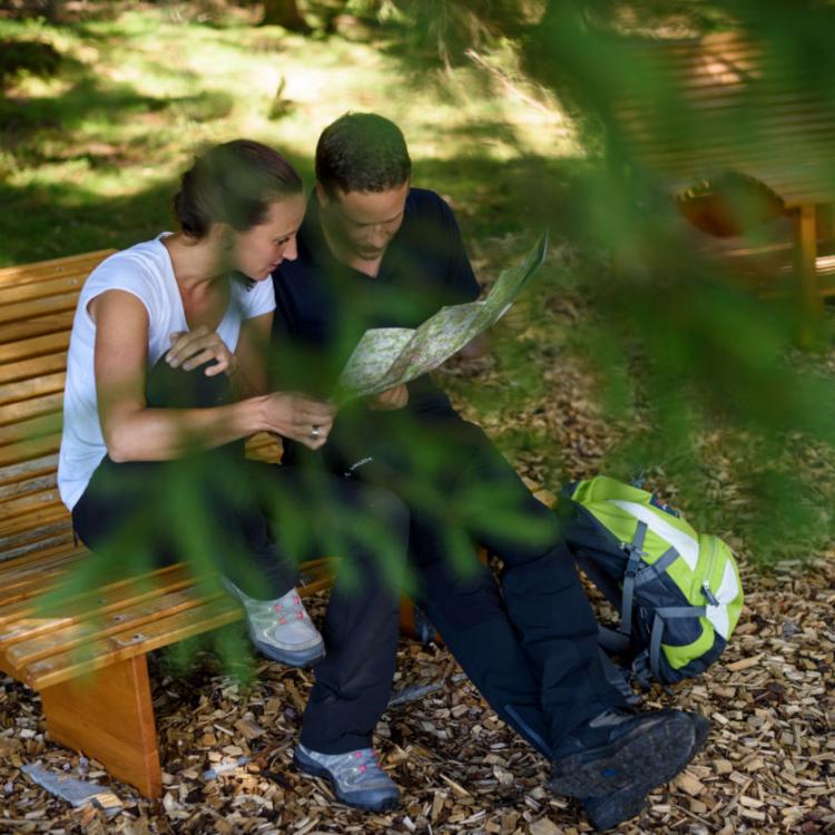 Denkinger PR - Heilklima-Steig stärkt Gesundheitskompetenz im Ferienland Schwarzwald