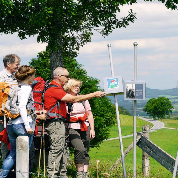 Denkinger PR - Aktiv Kunst erleben bei „Westallgäuer Wanderwochen“