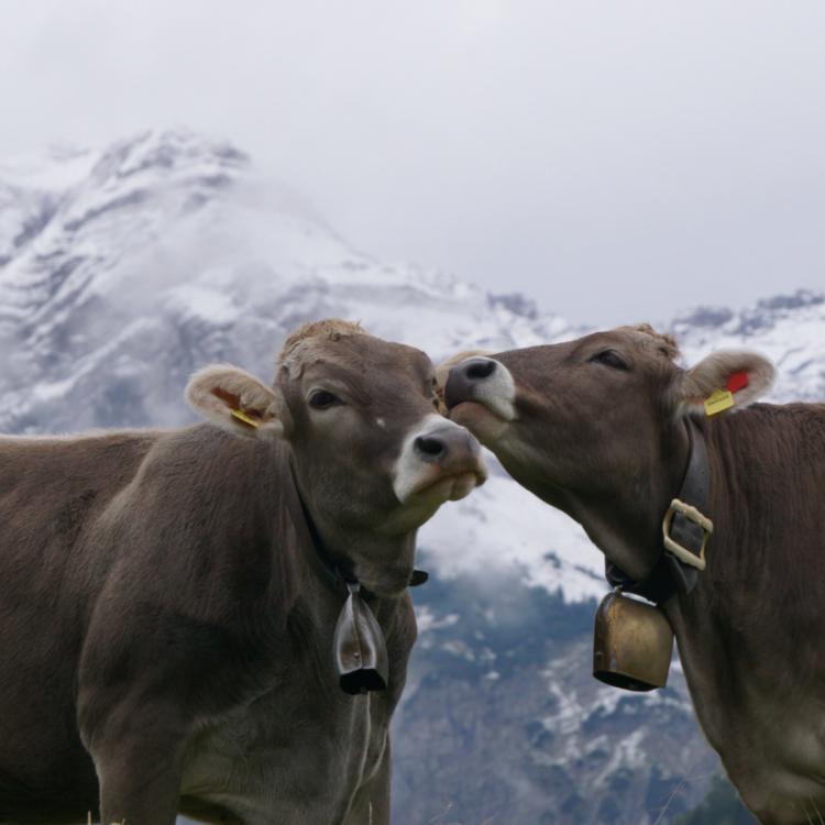 Blog News Denkinger Kommunikation