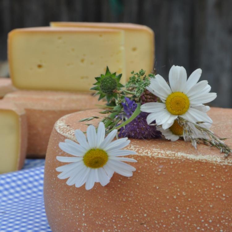 Denkinger PR - Bio-Bergkäse und Violinen-Klänge bei „Ein Ort wird Musik“ 