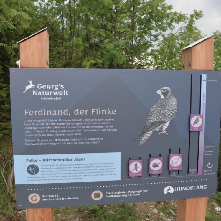 Denkinger PR- Familien-Abenteuer auf „Georg’s Naturwelt Erlebnispfad“  