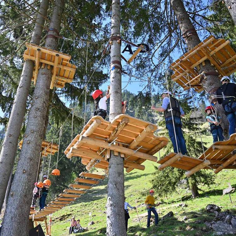 Denkinger PR - Waldseilgarten Bad Hindelang bereichert naturnahen Tourismus