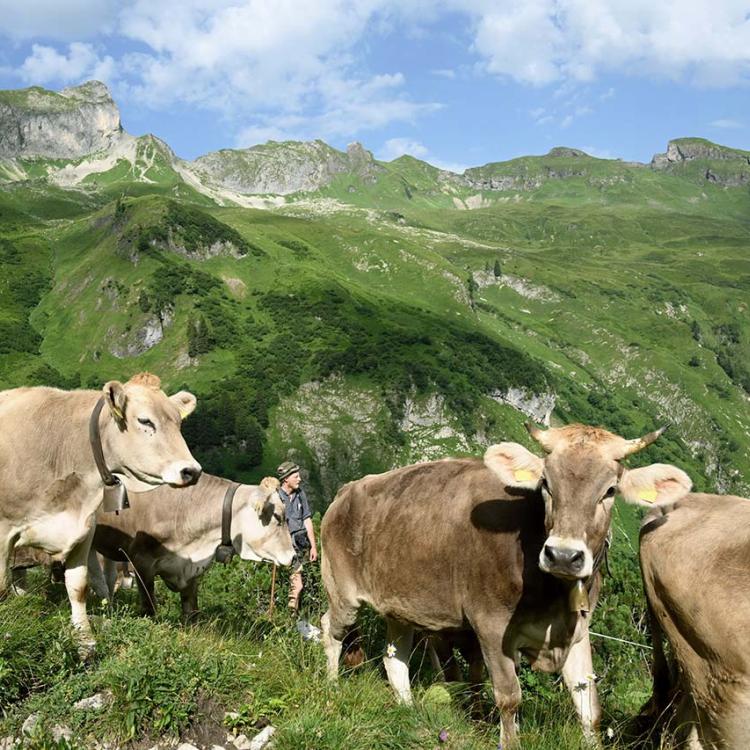 Denkinger PR - Die Gemeinde Bad Hindelang in den Allgäuer Hochalpen ist für den internationalen Wettbewerb „Best Tourism Villages by UN Tourism“ nominiert worden. 