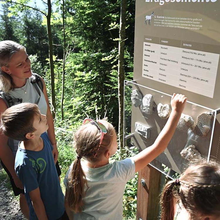 Denkinger PR - „Georg’s Geowelt Forscherpfad“ in Bad Hindelang verbindet Abenteuer, Natur und Erdgeschichte